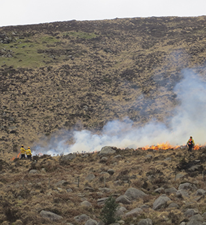 Mourne Heritage Trust